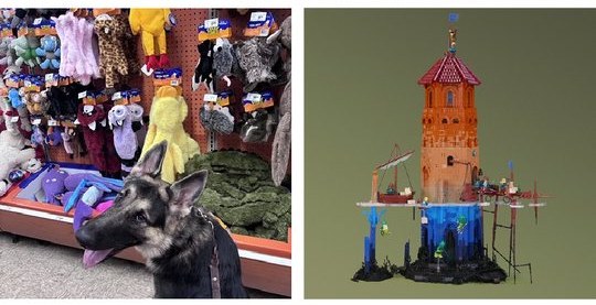 Two images collected in one issue